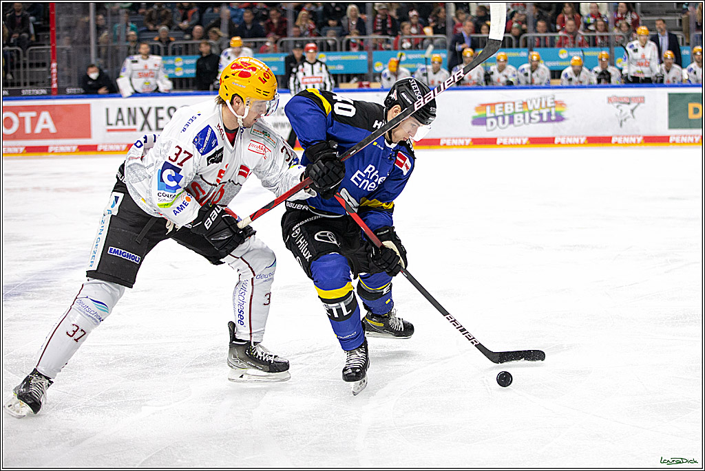 PENNY DEL; Koelner Haie- Fishtown Pinguins Bremerhaven; Koeln, 23.11.2021